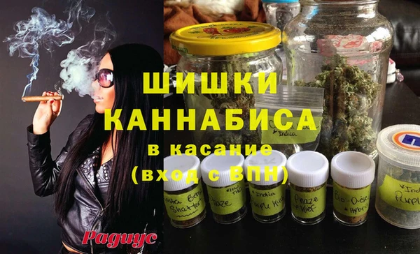 прущие грибы Бронницы