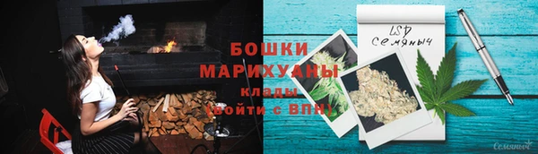 прущие грибы Бронницы