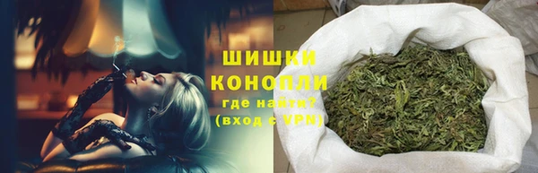дмт Бородино