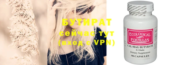 дмт Бородино