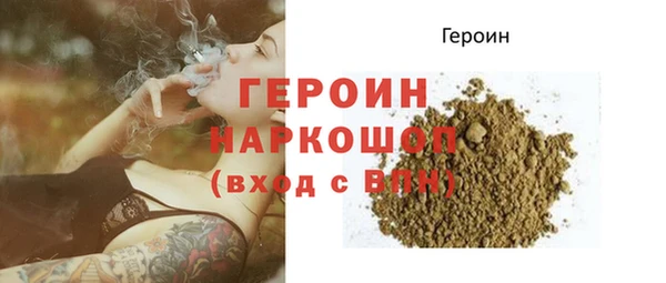 дмт Бородино