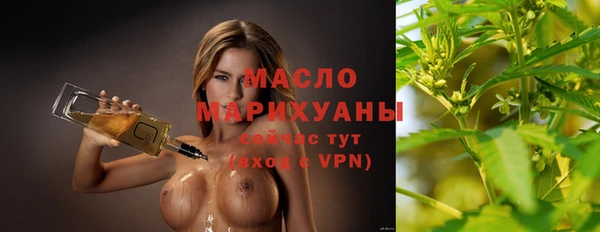 дмт Бородино