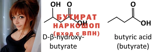 дмт Бородино