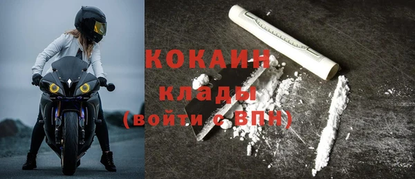 прущие грибы Бронницы