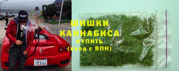 прущие грибы Бронницы