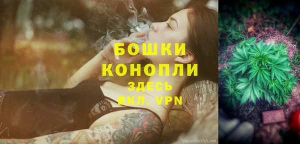 прущие грибы Бронницы