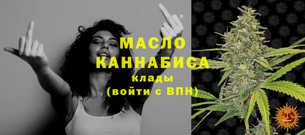 дмт Бородино
