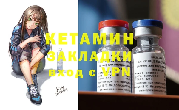 дмт Бородино